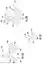 Fig. 10 - Shoe with lattice structure