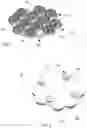 Fig. 02 - Hair removal device