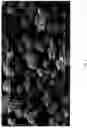 Fig. 02 - Microencapsulation process and product