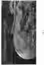 Fig. 03 - Microencapsulation process and product