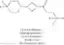 Fig. 161 - Compounds