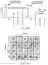 Fig. 17 - Methods for treating hepatitis B infection