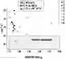 Fig. 01 - High index low density glass
