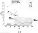 Fig. 03 - High index low density glass