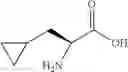 Fig. 346 - Peptide compound and application thereof, and composition containing peptide compound