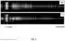 Fig. 06 - Compact wideband VUV spectrometer