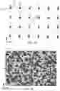 Fig. 14 - Wide-area solid-state illumination devices and systems