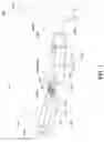 Fig. 02 - Light-guiding device and virtual image display apparatus