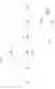 Fig. 03 - Determining branch targets for guest branch instructions executed in native address space