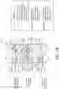 Fig. 04 - Memory system having write assist circuit including memory-adapted transistors