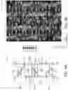 Fig. 06 - Memory system having write assist circuit including memory-adapted transistors