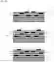 Fig. 13 - ELECTRONIC COMPONENT MOUNTING SUBSTRATE AND METHOD OF MANUFACTURING THE SAME