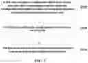 Fig. 02 - Data transmission method and apparatus, storage medium and processor