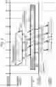 Fig. 05 - Imaging apparatus, image processing method, and program