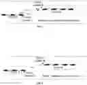 Fig. 02 - Cooperative V2X communication