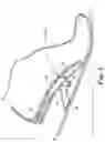 Fig. 06 - Energy return orthotic systems