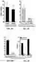 Fig. 05 - METHODS AND COMPOSITIONS FOR TREATING MULTIPLE MYELOMA AND INCREASING ANTIBODY DEPENDENT CELL CYTOTOXICITY BY TARGETING THE ARYL HYDROCARBON RECEPTOR