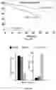 Fig. 07 - METHODS AND COMPOSITIONS FOR TREATING MULTIPLE MYELOMA AND INCREASING ANTIBODY DEPENDENT CELL CYTOTOXICITY BY TARGETING THE ARYL HYDROCARBON RECEPTOR