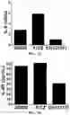 Fig. 11 - METHODS AND COMPOSITIONS FOR TREATING MULTIPLE MYELOMA AND INCREASING ANTIBODY DEPENDENT CELL CYTOTOXICITY BY TARGETING THE ARYL HYDROCARBON RECEPTOR