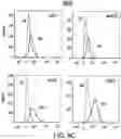 Fig. 13 - METHODS AND COMPOSITIONS FOR TREATING MULTIPLE MYELOMA AND INCREASING ANTIBODY DEPENDENT CELL CYTOTOXICITY BY TARGETING THE ARYL HYDROCARBON RECEPTOR