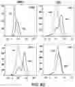 Fig. 14 - METHODS AND COMPOSITIONS FOR TREATING MULTIPLE MYELOMA AND INCREASING ANTIBODY DEPENDENT CELL CYTOTOXICITY BY TARGETING THE ARYL HYDROCARBON RECEPTOR