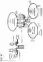 Fig. 107 - Multimeric IL-15 soluble fusion molecules and methods of making and using same