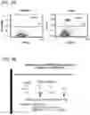 Fig. 112 - Multimeric IL-15 soluble fusion molecules and methods of making and using same