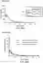 Fig. 36 - Multimeric IL-15 soluble fusion molecules and methods of making and using same