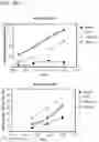 Fig. 42 - Multimeric IL-15 soluble fusion molecules and methods of making and using same
