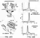 Fig. 45 - Multimeric IL-15 soluble fusion molecules and methods of making and using same