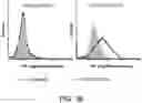 Fig. 47 - Multimeric IL-15 soluble fusion molecules and methods of making and using same