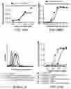 Fig. 49 - Multimeric IL-15 soluble fusion molecules and methods of making and using same