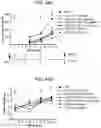 Fig. 51 - Multimeric IL-15 soluble fusion molecules and methods of making and using same