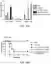 Fig. 87 - Multimeric IL-15 soluble fusion molecules and methods of making and using same