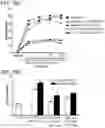 Fig. 97 - Multimeric IL-15 soluble fusion molecules and methods of making and using same