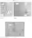 Fig. 63 - Effects of space travel on human brain cells