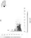 Fig. 02 - Compositions and methods for immune cell modulation in adoptive immunotherapies