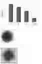 Fig. 07 - Production method for kidney-like tissue