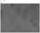 Fig. 08 - Production method for kidney-like tissue