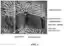 Fig. 02 - Engineered liver tissues, arrays thereof, and methods of making the same