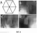 Fig. 07 - Engineered liver tissues, arrays thereof, and methods of making the same