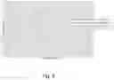 Fig. 09 - NADPH oxidase proteins