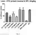 Fig. 08 - Compositions and methods for treating ornithine transcarbamylase deficiency