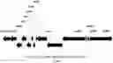 Fig. 01 - Bacillus Licheniformis Host Cell