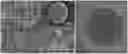 Fig. 01 - Immobilized enzyme Pickering emulsion reaction system and application thereof