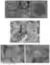 Fig. 02 - Immobilized enzyme Pickering emulsion reaction system and application thereof
