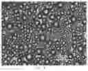Fig. 03 - Immobilized enzyme Pickering emulsion reaction system and application thereof