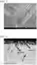 Fig. 03 - Free-cutting copper alloy and method for producing free-cutting copper alloy