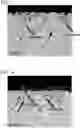 Fig. 04 - Free-cutting copper alloy and method for producing free-cutting copper alloy