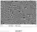 Fig. 06 - Methods of generating manganese (III) ions in mixed aqueous acid solutions using ozone
